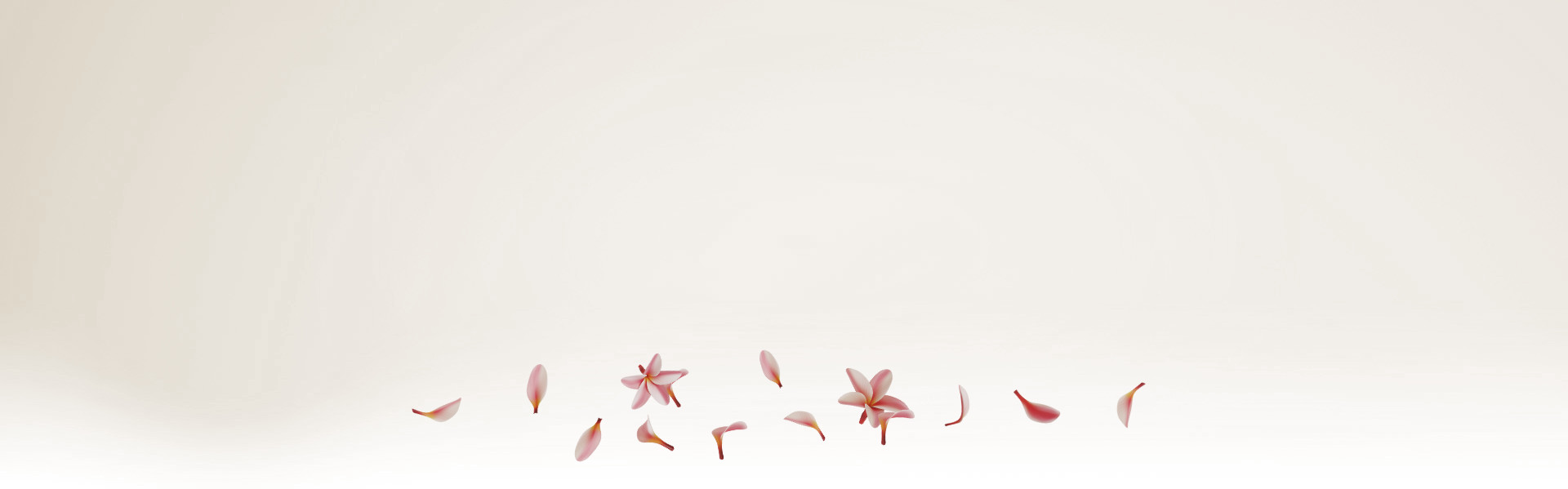 Bijoux personnalisés en livraison rapide (bague, collier...) - Maison Salmon